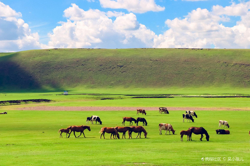 呼伦贝尔,草原之魂,自然的诗行与远方之旅